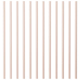 Large Straws Pack