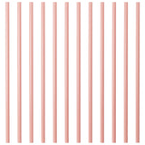 Large Straws Pack